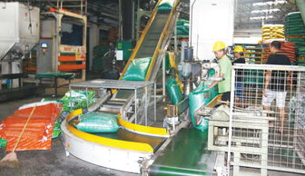 銷量再創新高，躍居順德膨化料單廠第二——健康飼料專家戰略布局引領水產品養殖新篇章