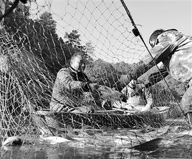 發展生態水產養殖，提升水產品質量