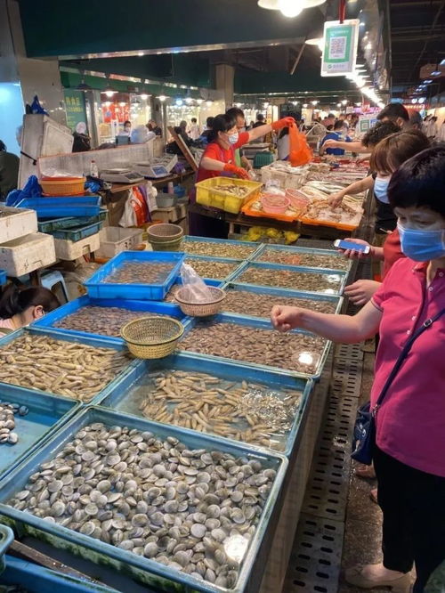 5月1日起溫州全面進入海洋伏季休漁期 還能享受哪些海鮮與養殖水產品？