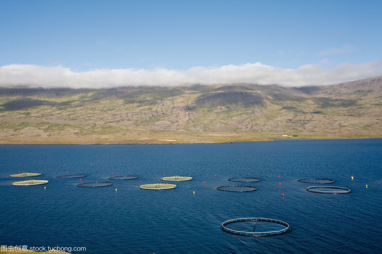 冰島水產養殖業的可持續發展與創新