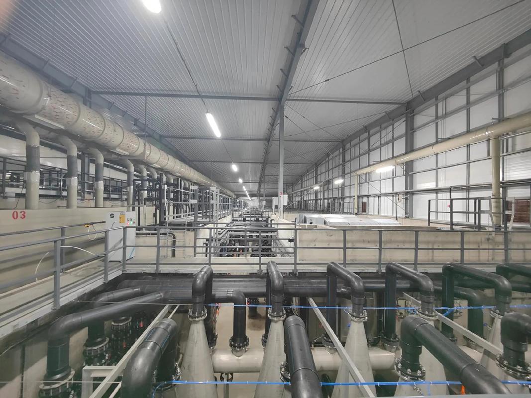 探訪全球最大單體鰻魚工廠化養(yǎng)殖基地 福建匯澤漁業(yè)如何引領(lǐng)水產(chǎn)品養(yǎng)殖新風(fēng)尚