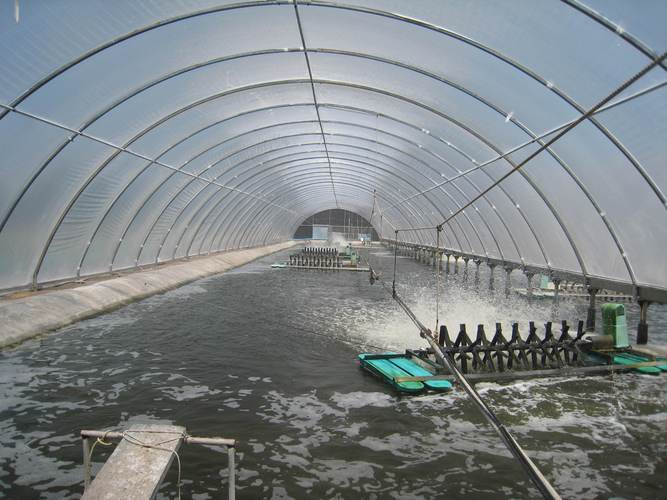 水產(chǎn)養(yǎng)殖業(yè)的廣闊前景 為何水產(chǎn)品養(yǎng)殖仍具巨大發(fā)展空間